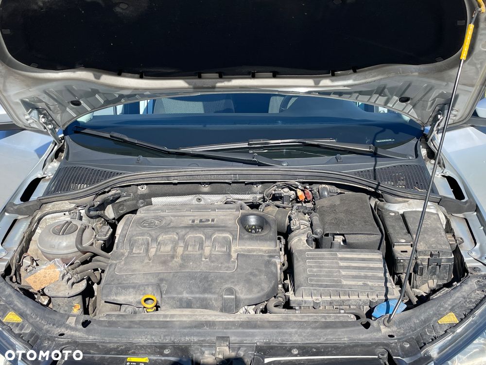 Skoda Octavia 1.6 TDI Greenline - 19