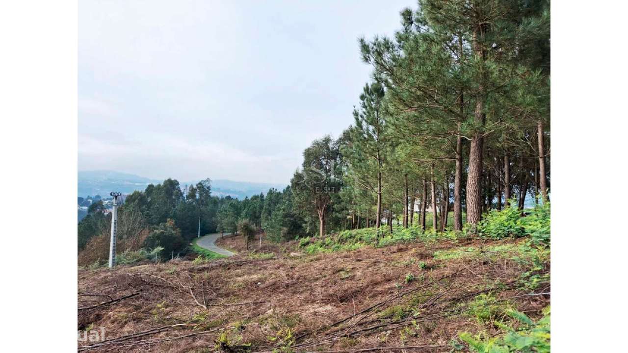 Terreno em Zona Nobre de Amarante com PIP Aprovado  59 Apartamentos - Grande imagem: 5/12