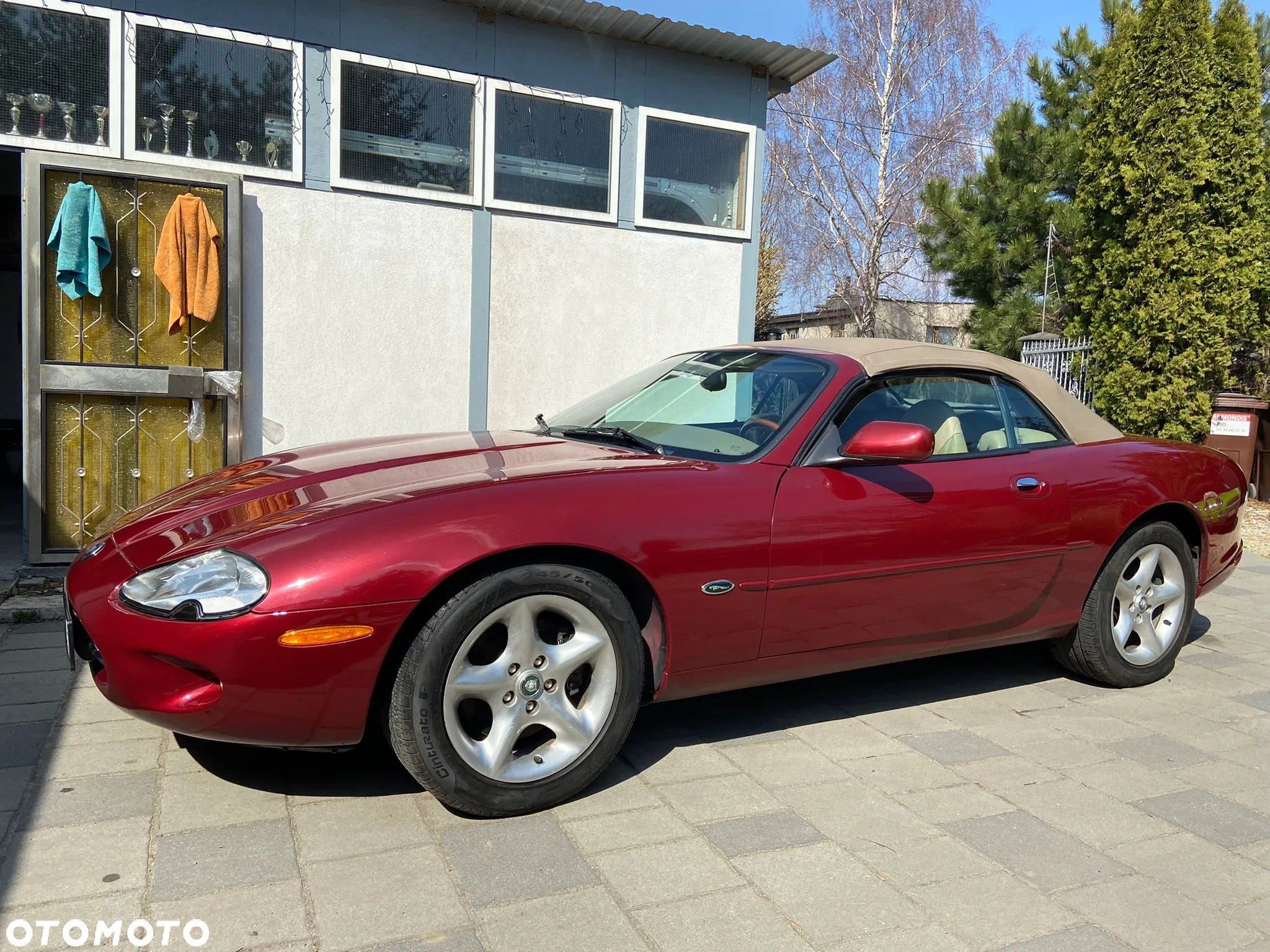 Jaguar XK8 XKR 4.2 - 5