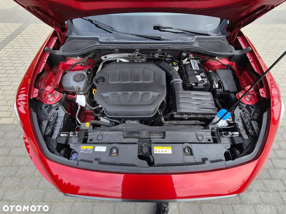 Cupra Formentor 2.0 TSI 4Drive DSG - 15