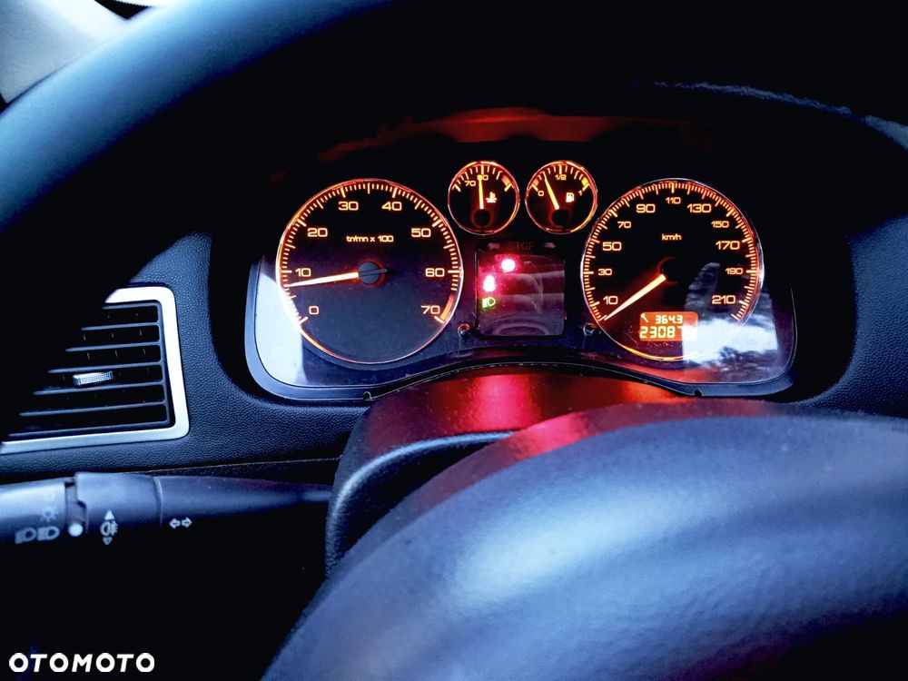 Peugeot 307 1.6 Premium - 7