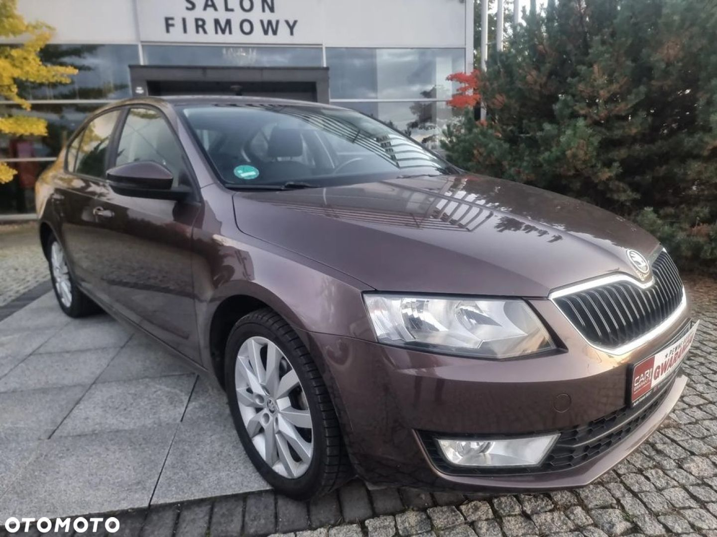 Skoda Octavia 1.6 TDI Elegance - 2