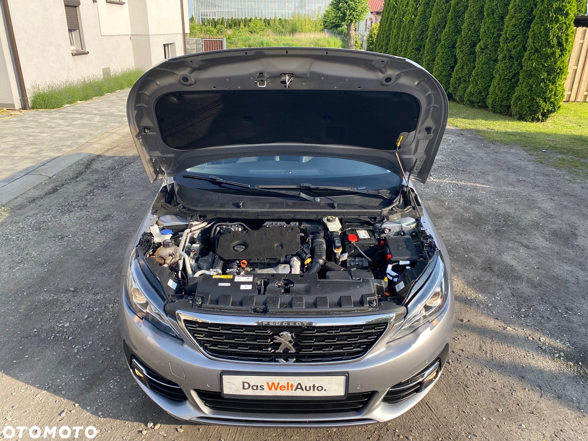 Peugeot 308 1.5 BlueHDi Active Pack Business S&S - 7