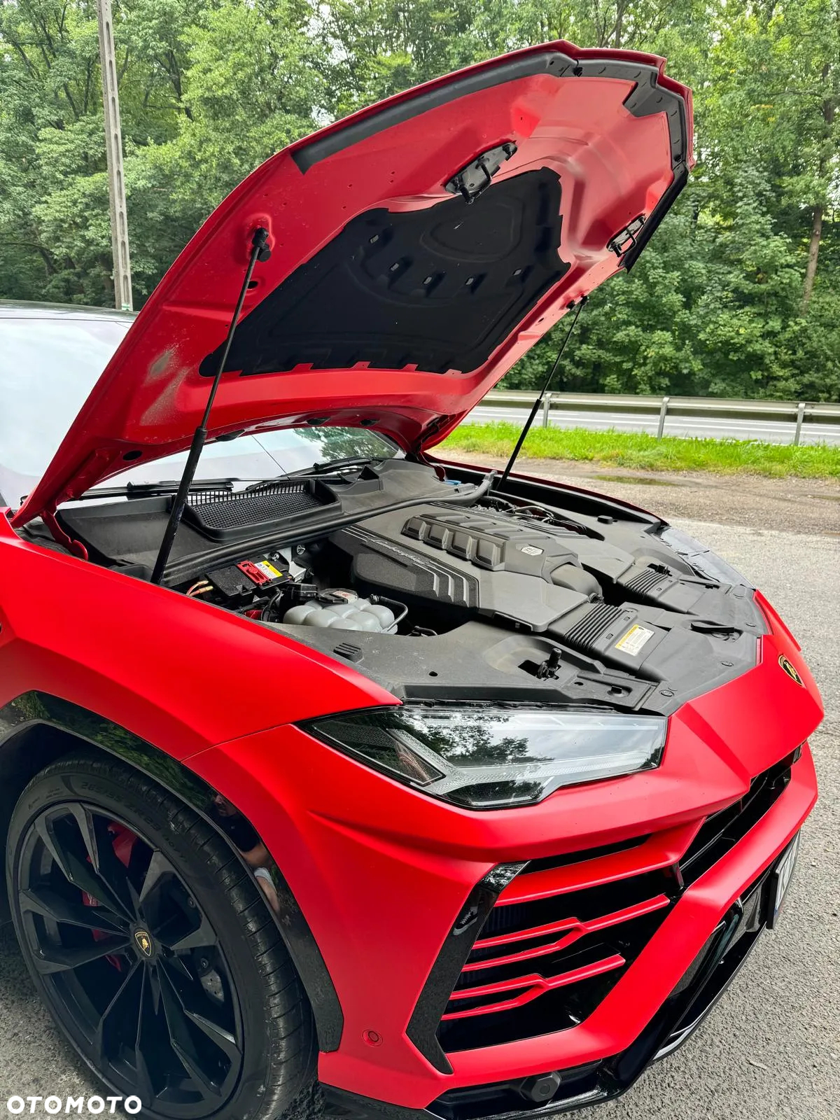 Lamborghini Urus Standard - 2