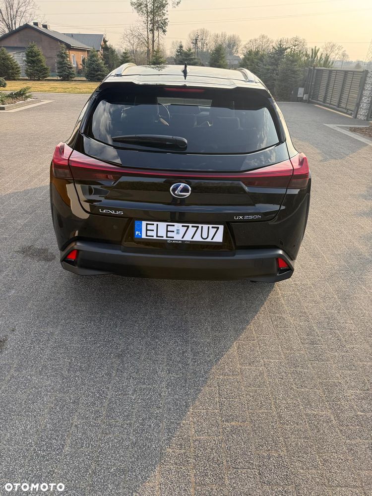 Lexus UX - 6