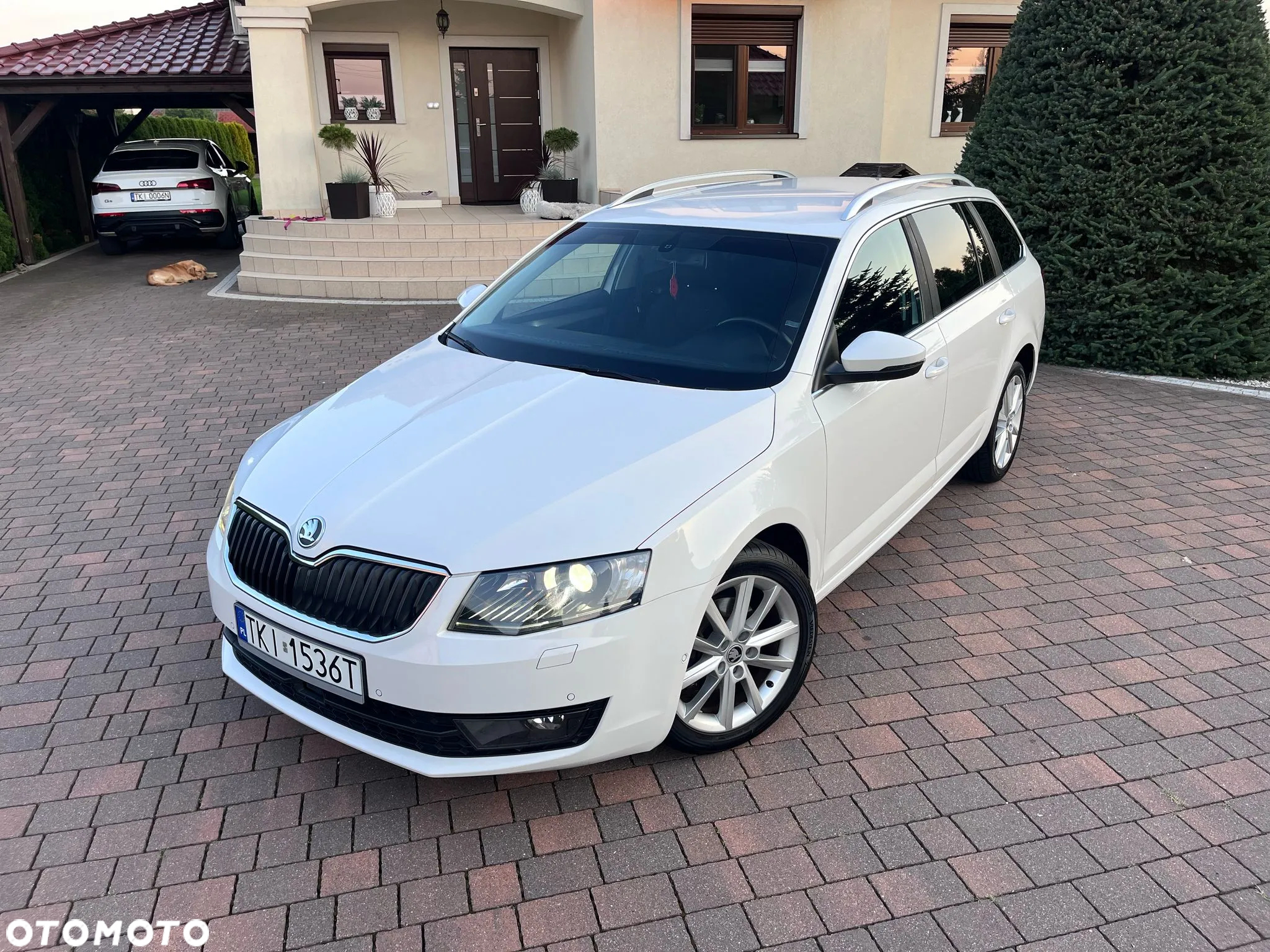 Skoda Octavia 1.4 TSI Edition DSG - 30