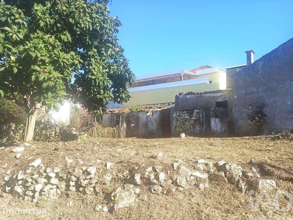 Moradia térrea T2 em Torres Novas (São Pedro), Lapas e Ribeira Branca - Grande imagem: 4/34
