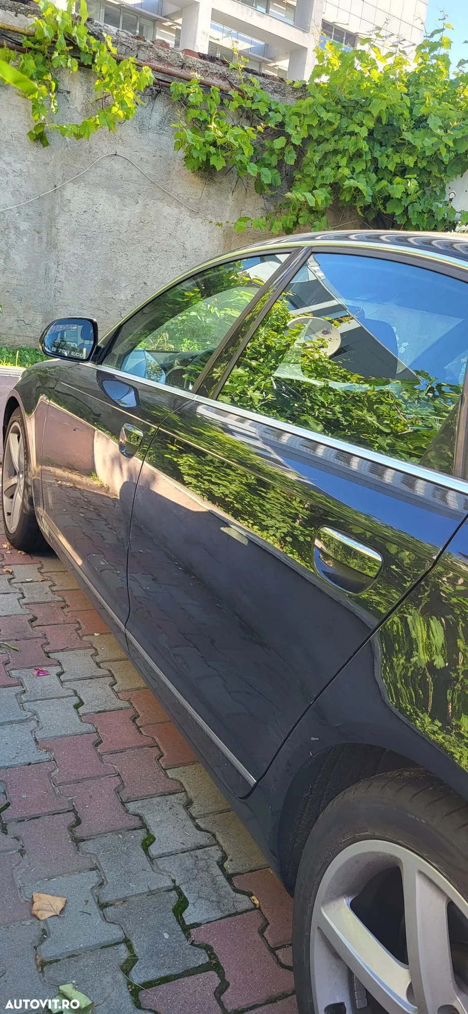 Audi A6 - 6