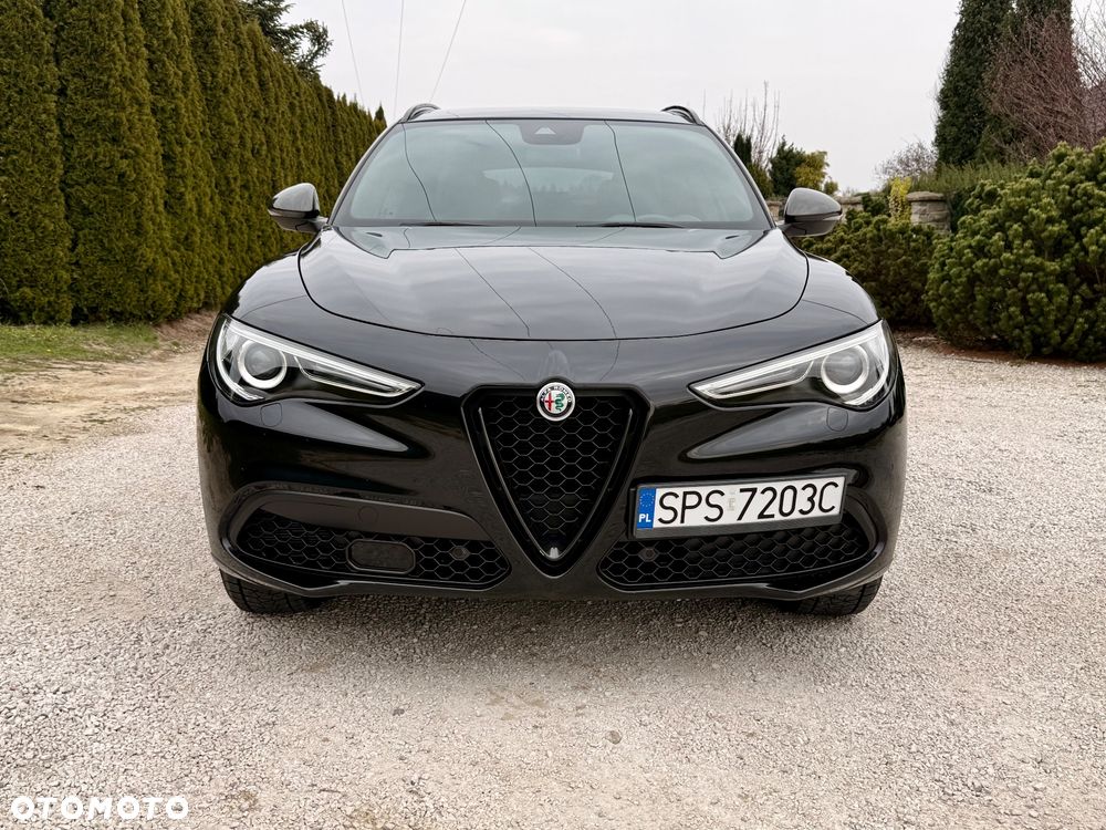 Alfa Romeo Stelvio 2.0 Turbo 16V AT8-Q4 Estrema - 16