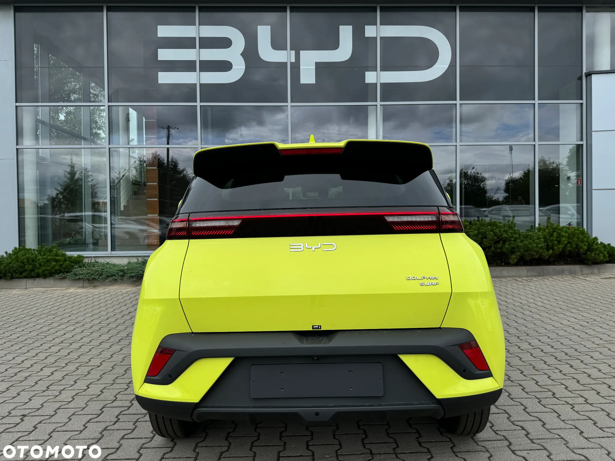 BYD Dolphin Surf - 13