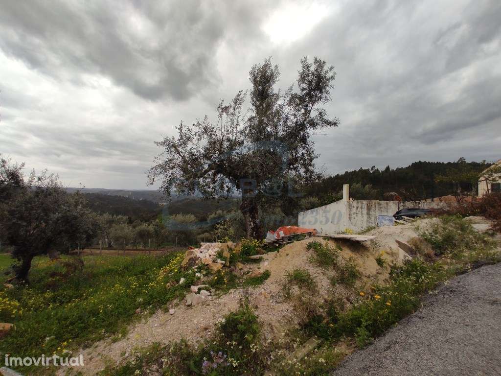 Terreno rústico com 720 m² com água e eletricidade junto - Grande imagem: 3/8