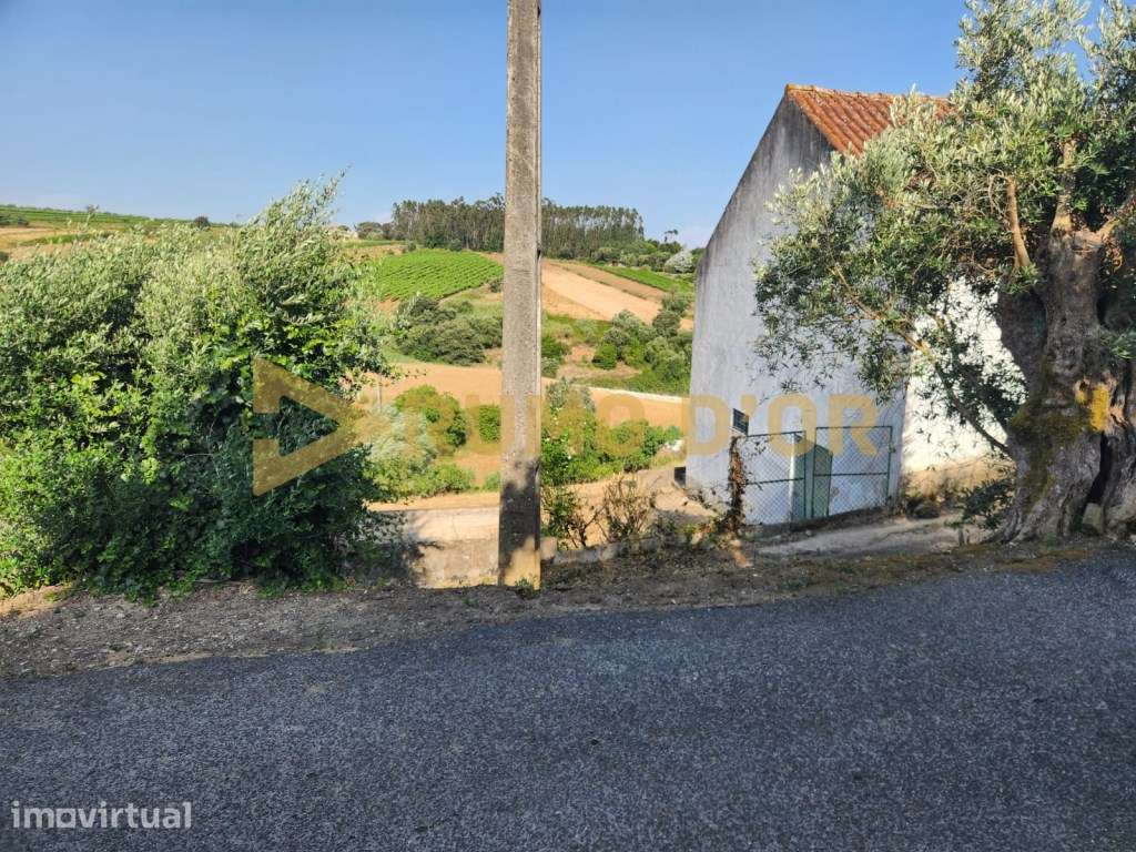 Armazém com Terreno e Vista de Campo em Vila Chã - Grande imagem: 3/15
