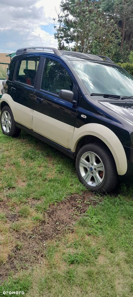 Fiat Panda 1.3 Multijet Cross 4x4 - 17