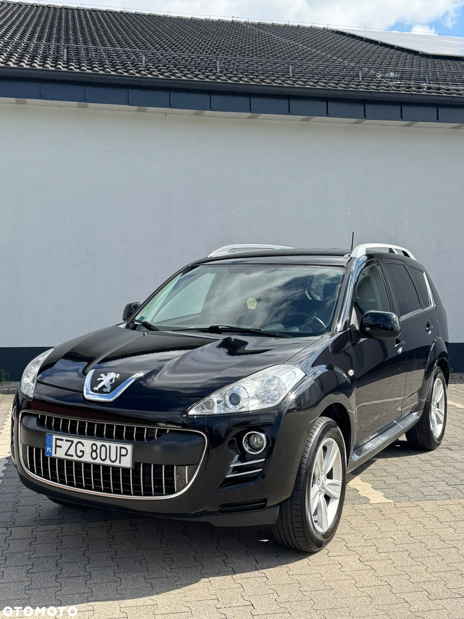 Peugeot 4007 2.2HDi Platinum - 9