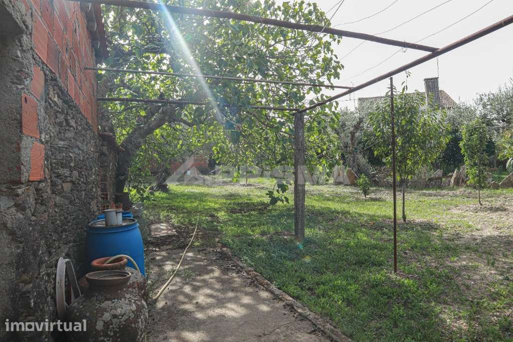 Terreno Rústico para venda em Amarelos, Sarnadas de Ródão - Grande imagem: 4/16