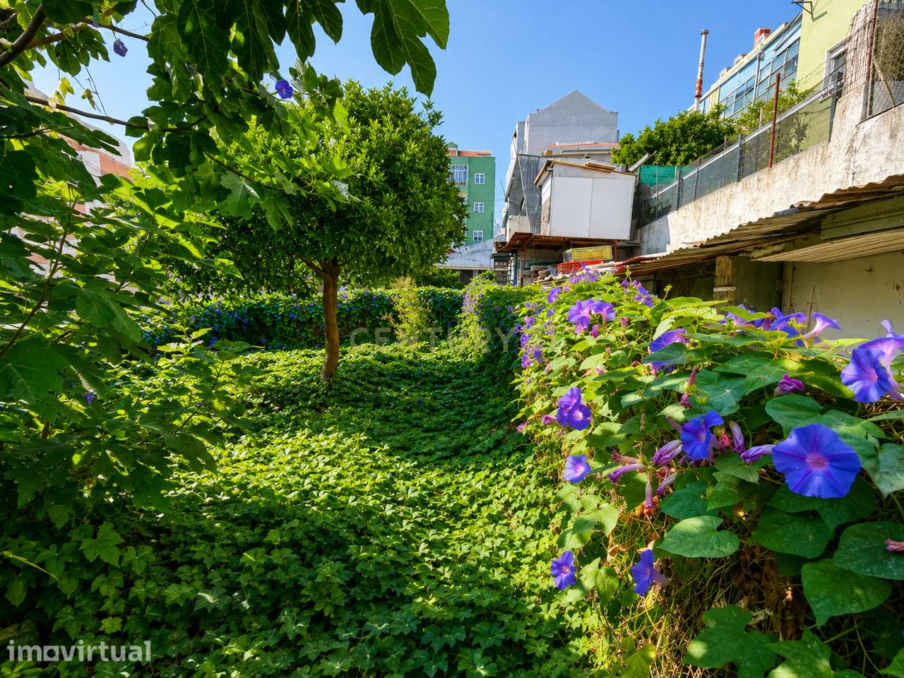TERRENO URBANO PARA CONSTRUÇÃO | BRANDOA | AMADORA - Grande imagem: 4/10