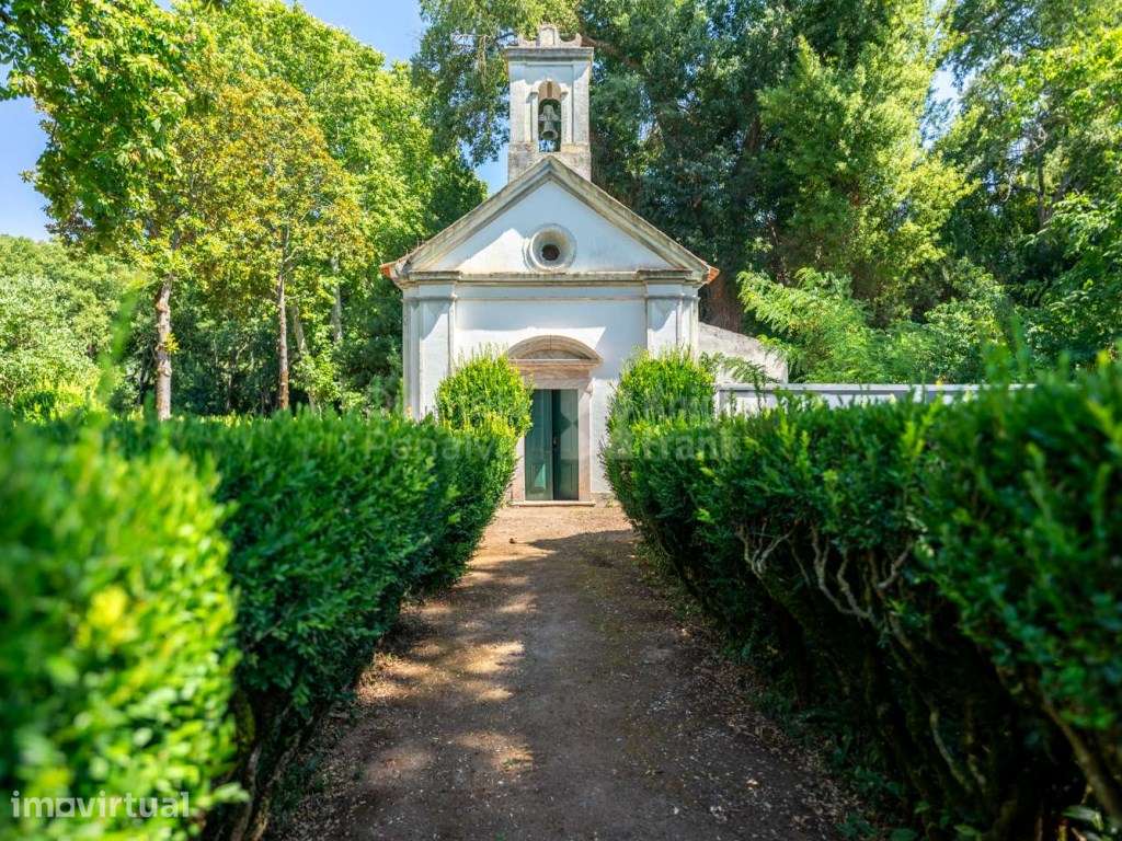 Quinta em Borba, Évora - Grande imagem: 4/40