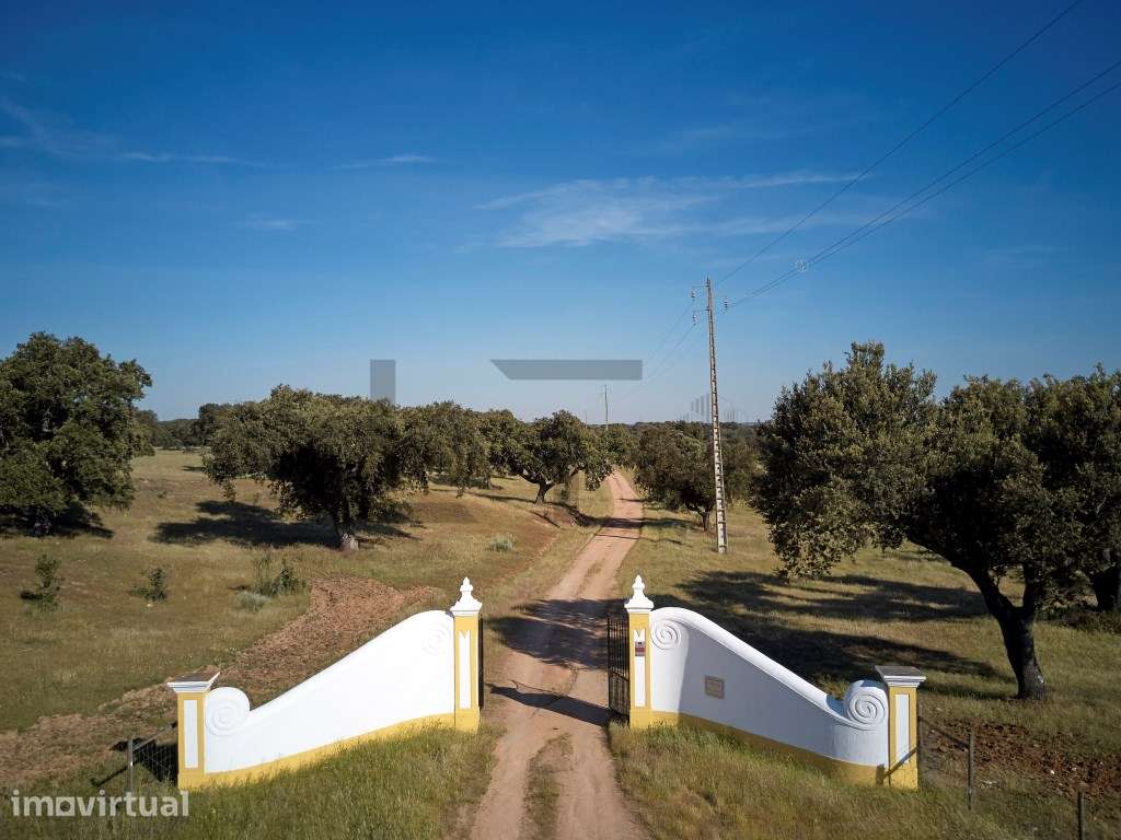 Herdade de Luxo com Piscina para Venda em Monforte, Portalegre - Grande imagem: 5/60