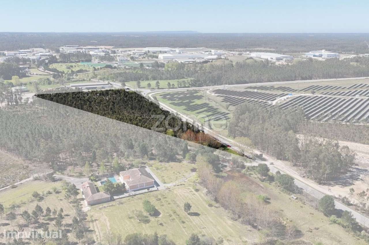 Oportunidade em Cantanhede: 3 Hectares de Potencial Ilimitado! - Grande imagem: 3/15