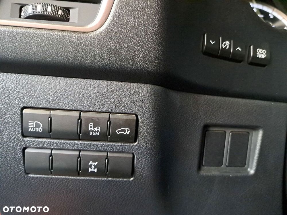 Lexus NX 300 GPF F Sport Edition AWD - 39