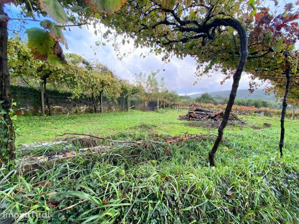 Terreno para construção - Grande imagem: 5/11