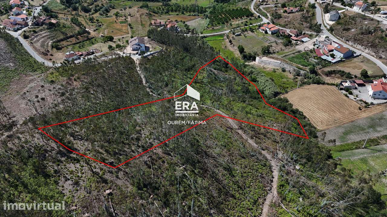 Terreno Florestal em Matas, Ourém - Grande imagem: 3/16