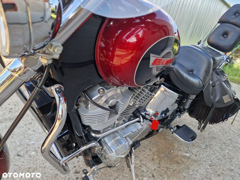 Honda VT - 34