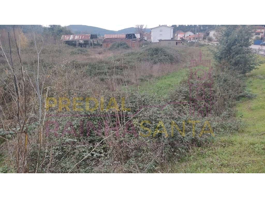 Terreno com barracão - Miranda do Corvo - Grande imagem: 5/7