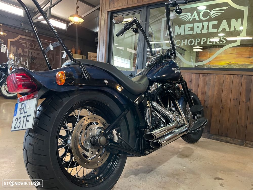 Harley-Davidson FLSTS Crossbones - 8