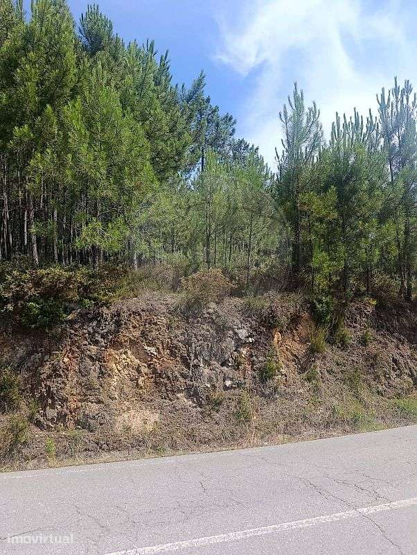 Terreno  para venda - Grande imagem: 5/5