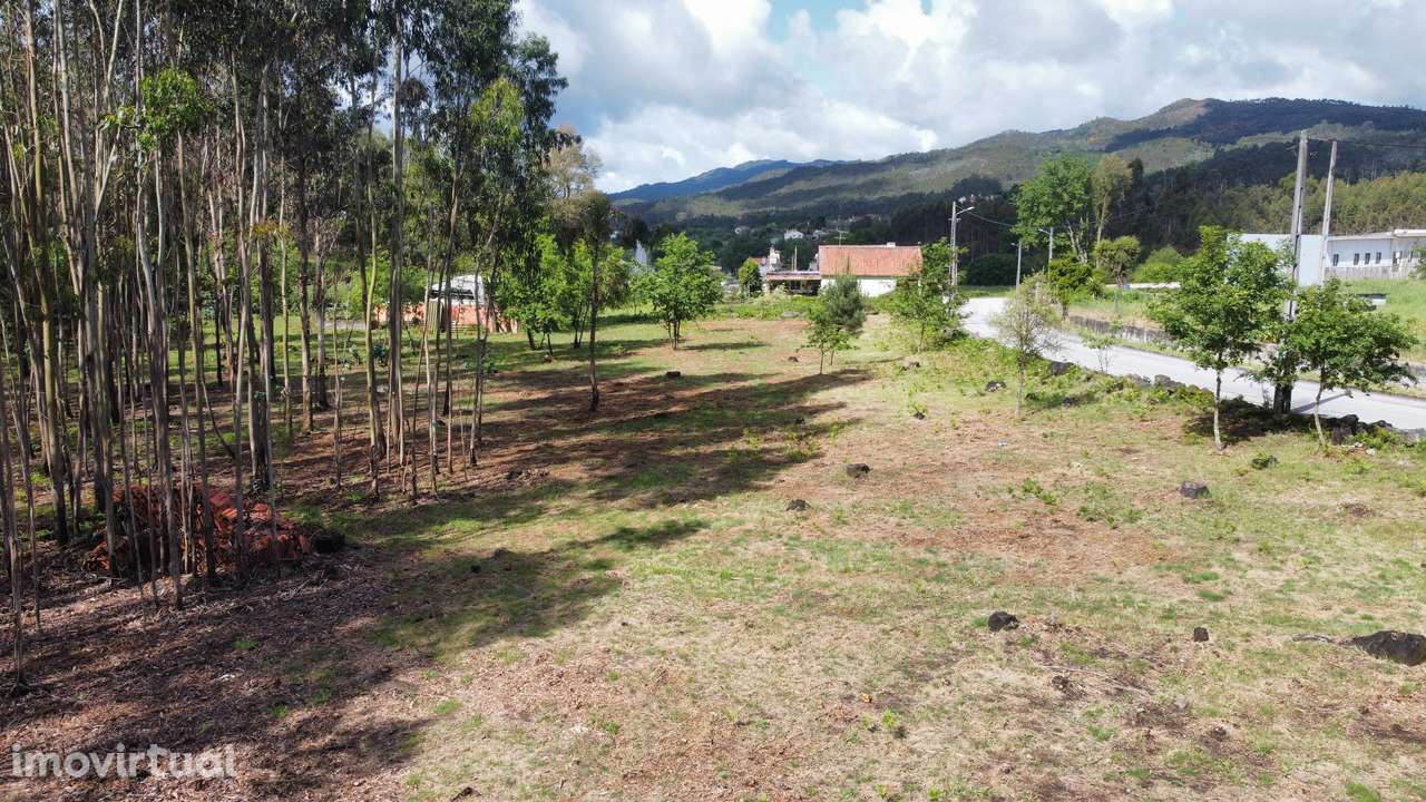 Terreno - Oliveira de Frades - Grande imagem: 4/18