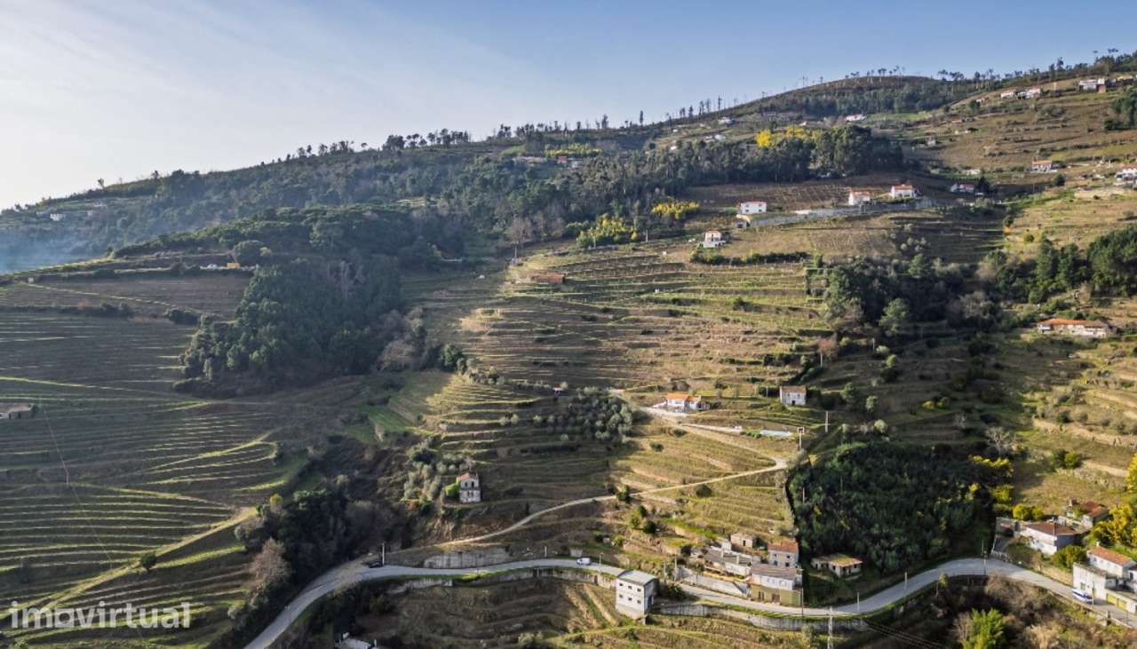 Quinta Vinicola em Vila Marim, Mesão Frio, Douro Valley - Grande imagem: 3/45