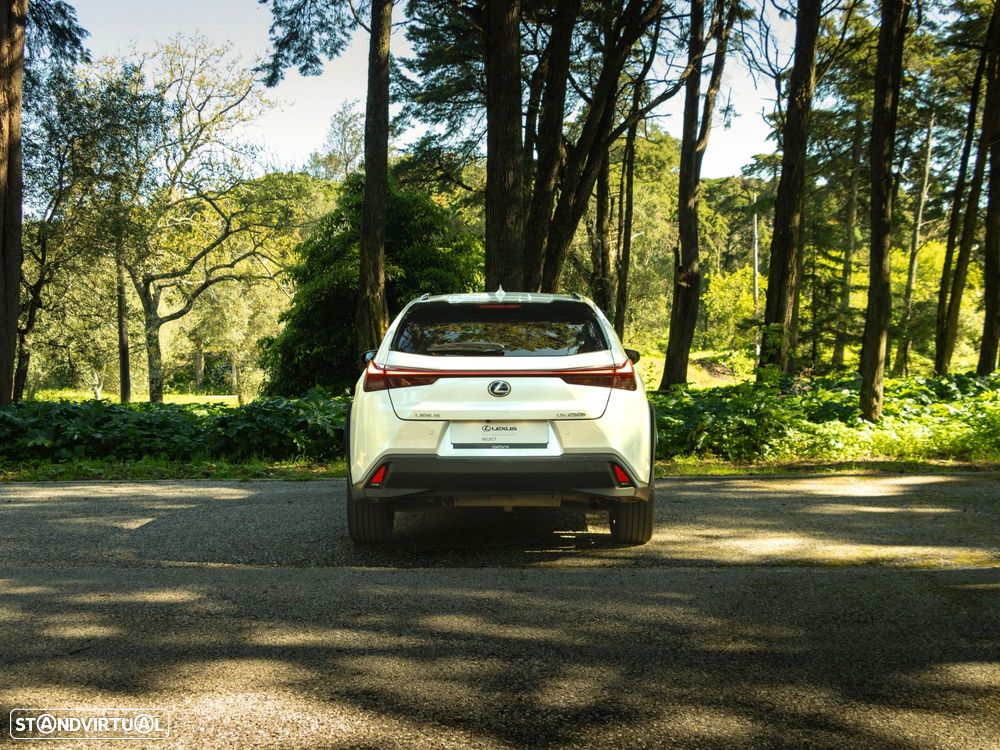 Lexus UX 250h Special Edition (LCA) - 4