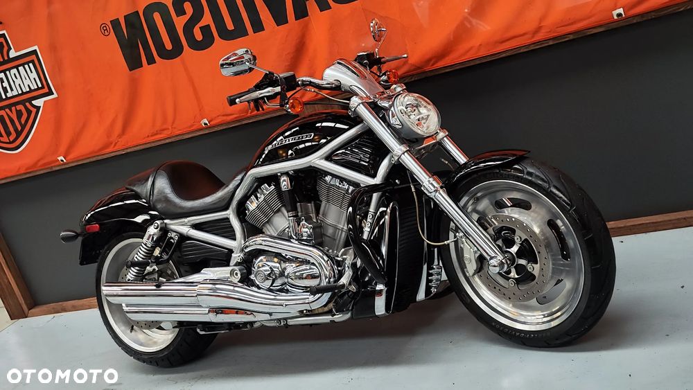 Harley-Davidson Softail V-Rod - 2