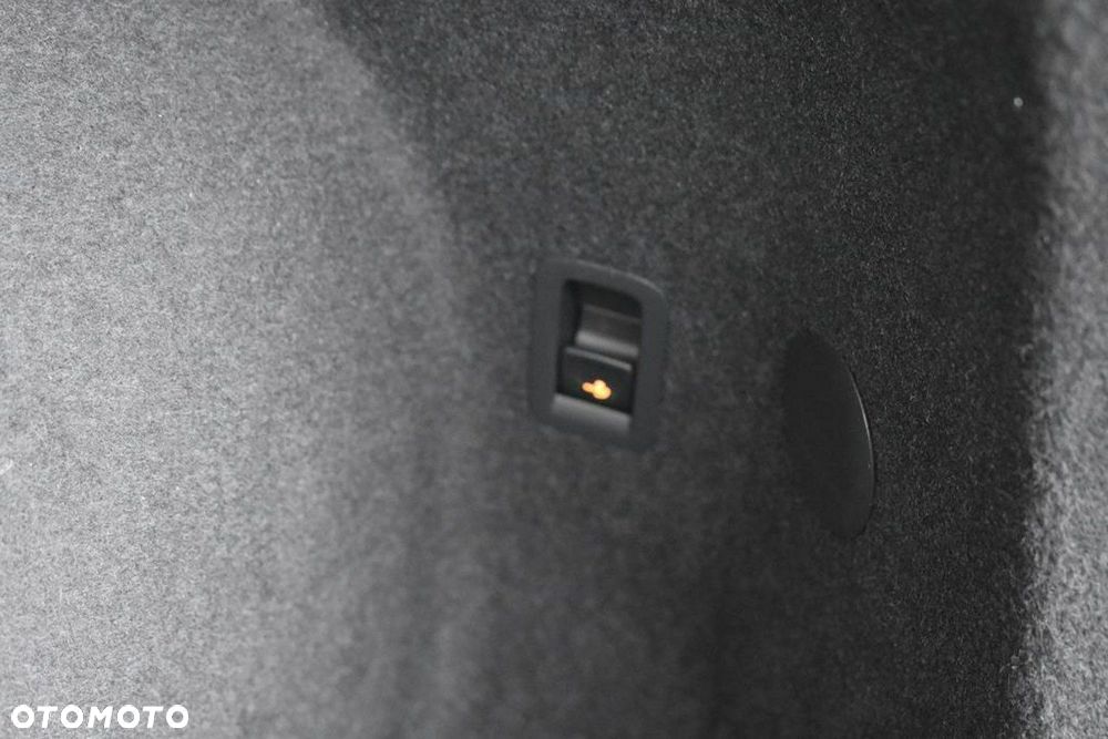 Cupra Terramar 2.0 TSI 4Drive VZ America's Cup DSG - 30