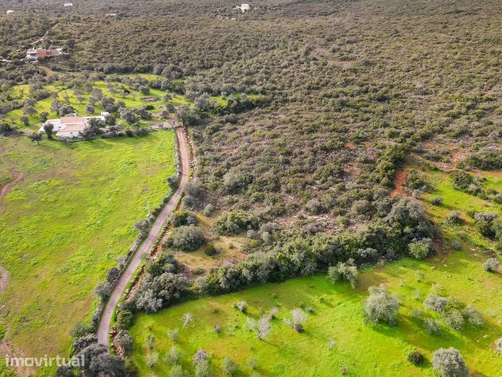 Terreno com 85,640 m2 localizado em Foupana, Olhão, Algarve - Grande imagem: 3/22