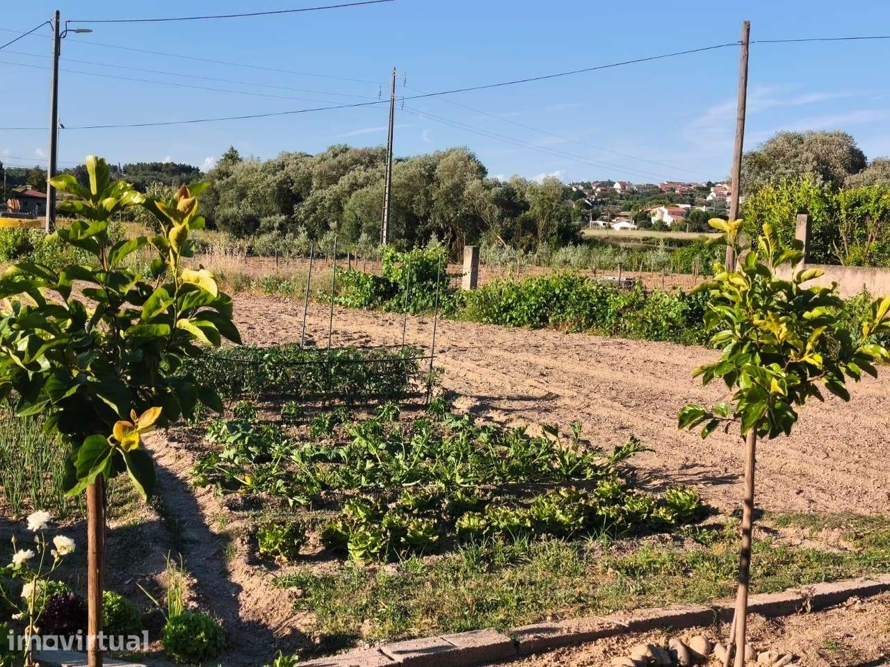 Terreno rustico em Peraboa - Grande imagem: 4/16