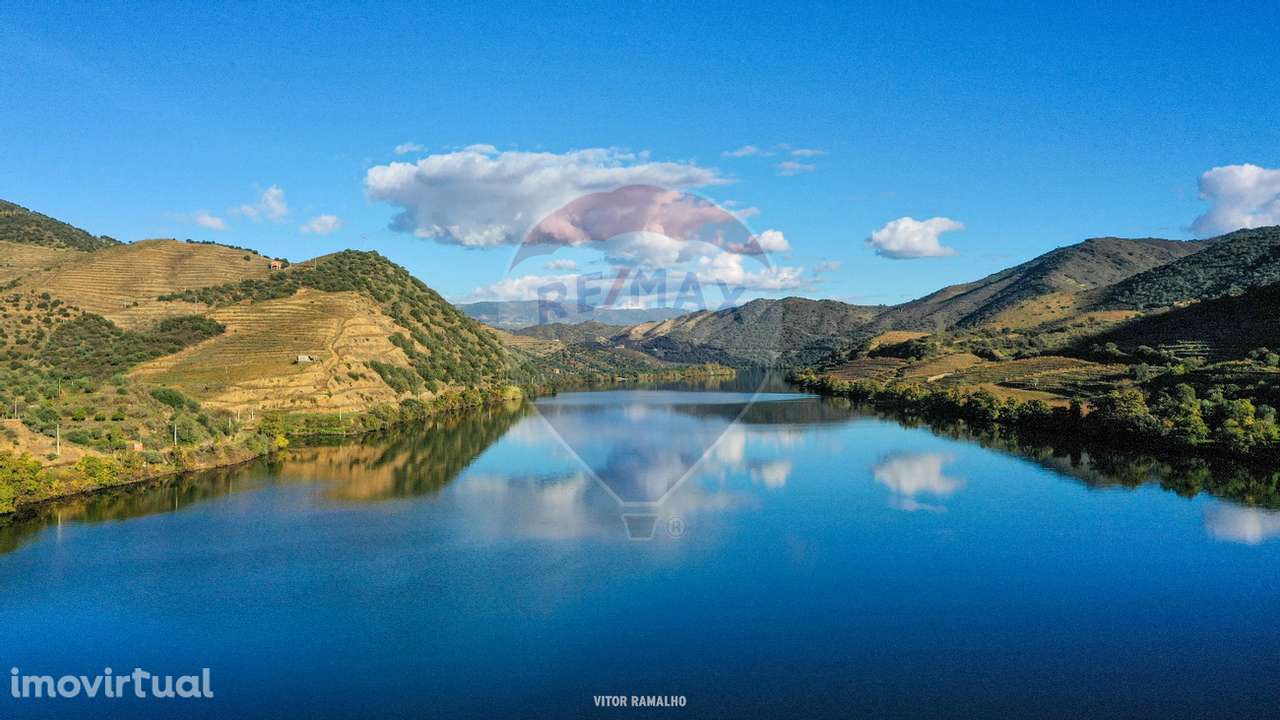 Quinta T5 para venda - Grande imagem: 2/31