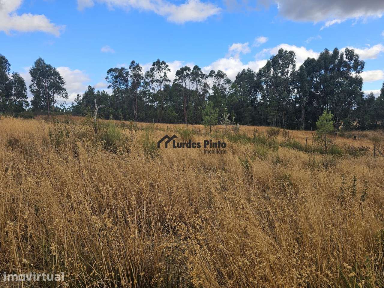 Terreno com 7.500m2 - Grande imagem: 2/10