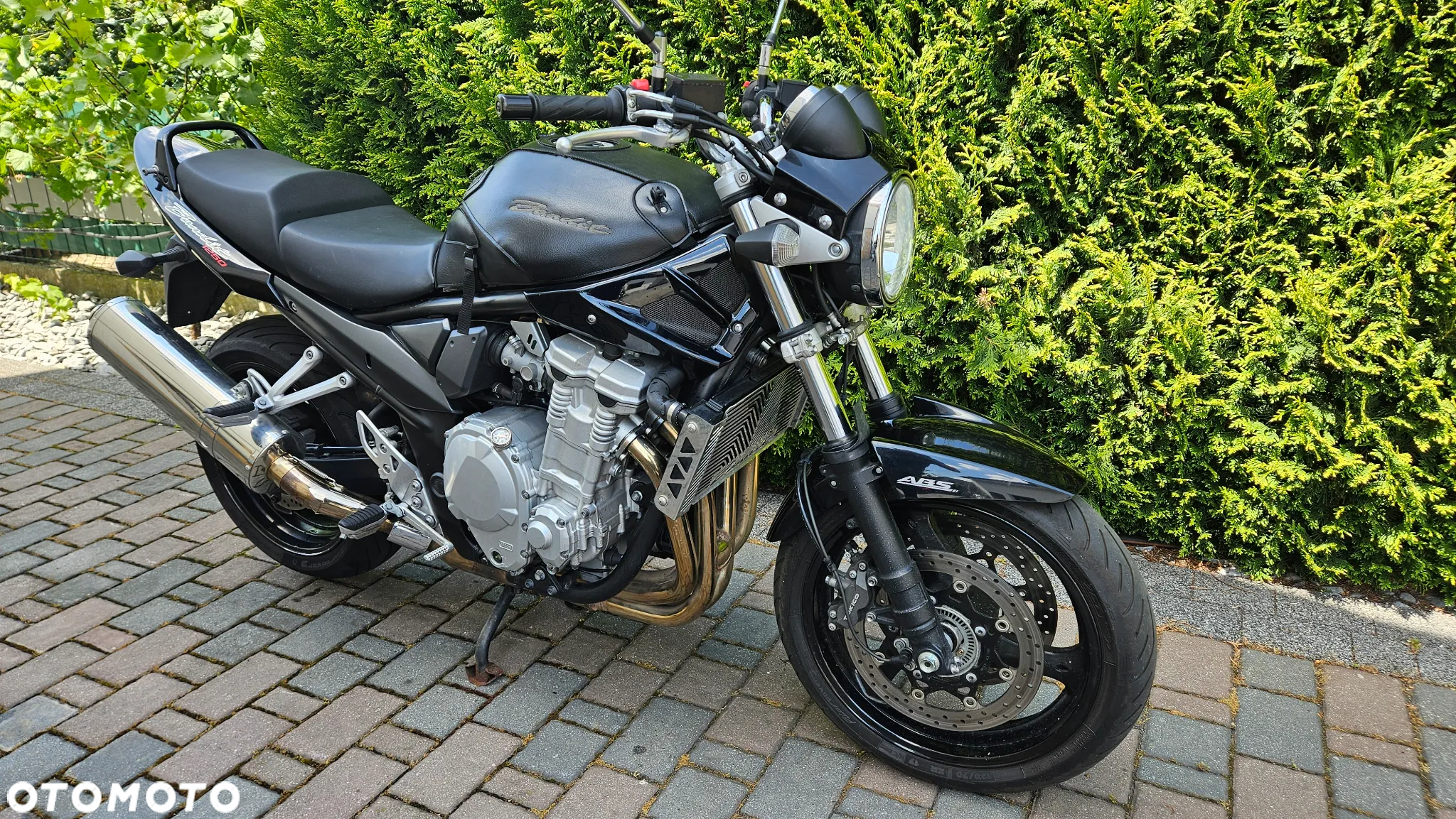 Suzuki Bandit - 3