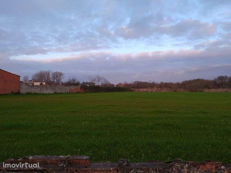 Vacaria com casa de habitação - Grande imagem: 3/8