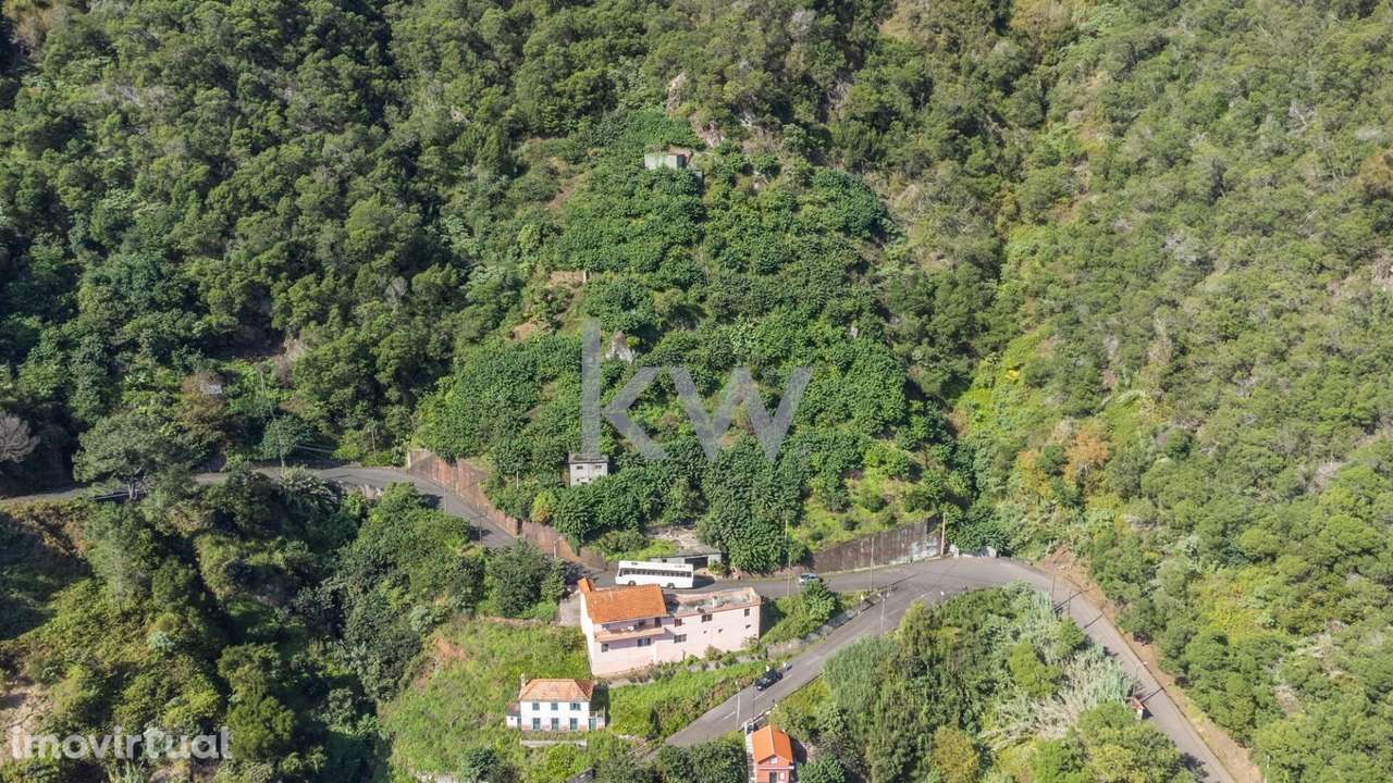 Terreno com 7340 m2, Localizado no Concelho de Santana, Freguesia do F - Grande imagem: 5/16