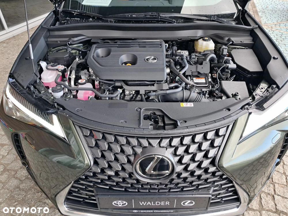 Lexus UX 300h Business - 22