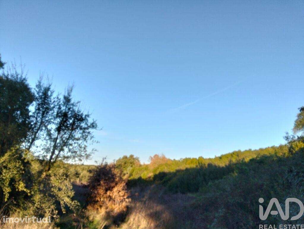 Terreno em Almoster - Grande imagem: 2/30