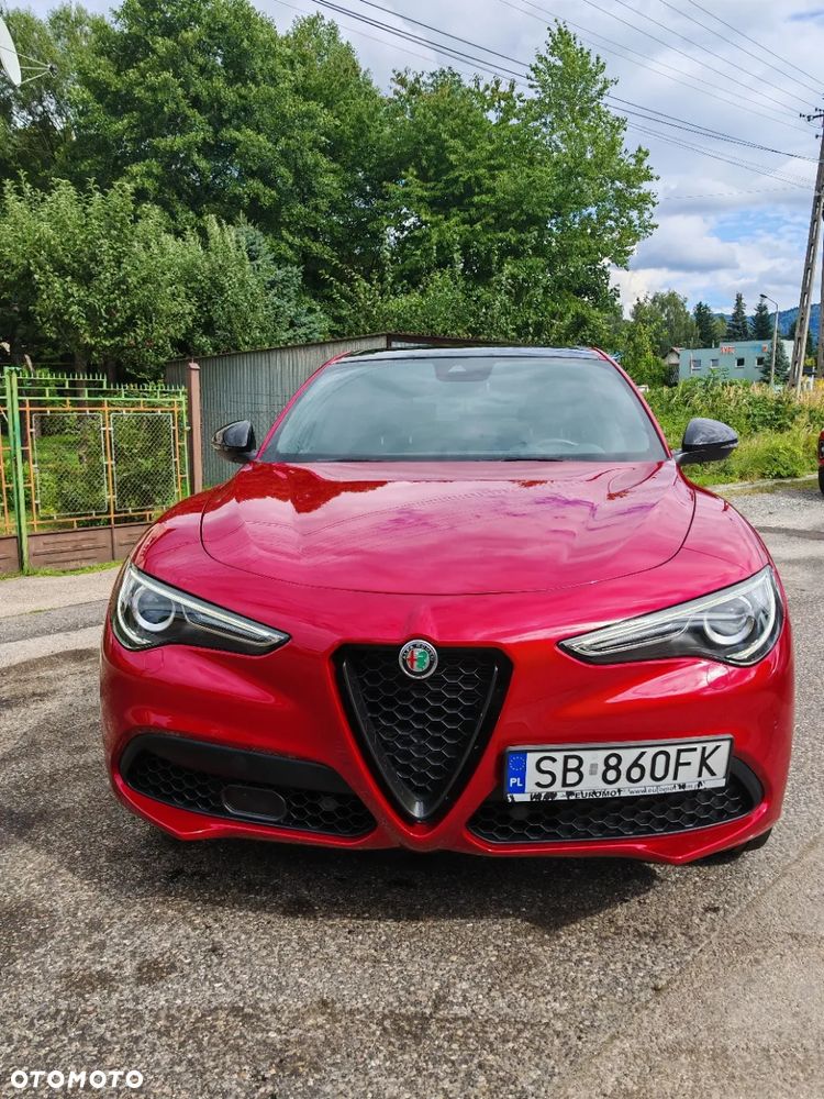 Alfa Romeo Stelvio 2.0 Turbo Veloce Q4 - 1