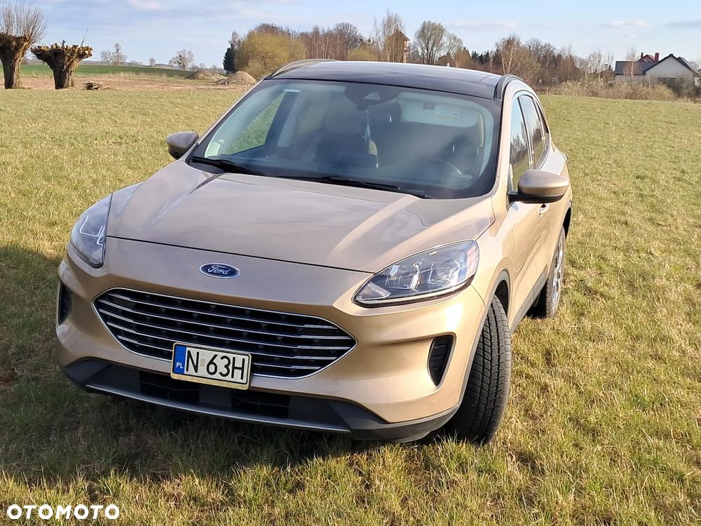 Ford Escape - 1