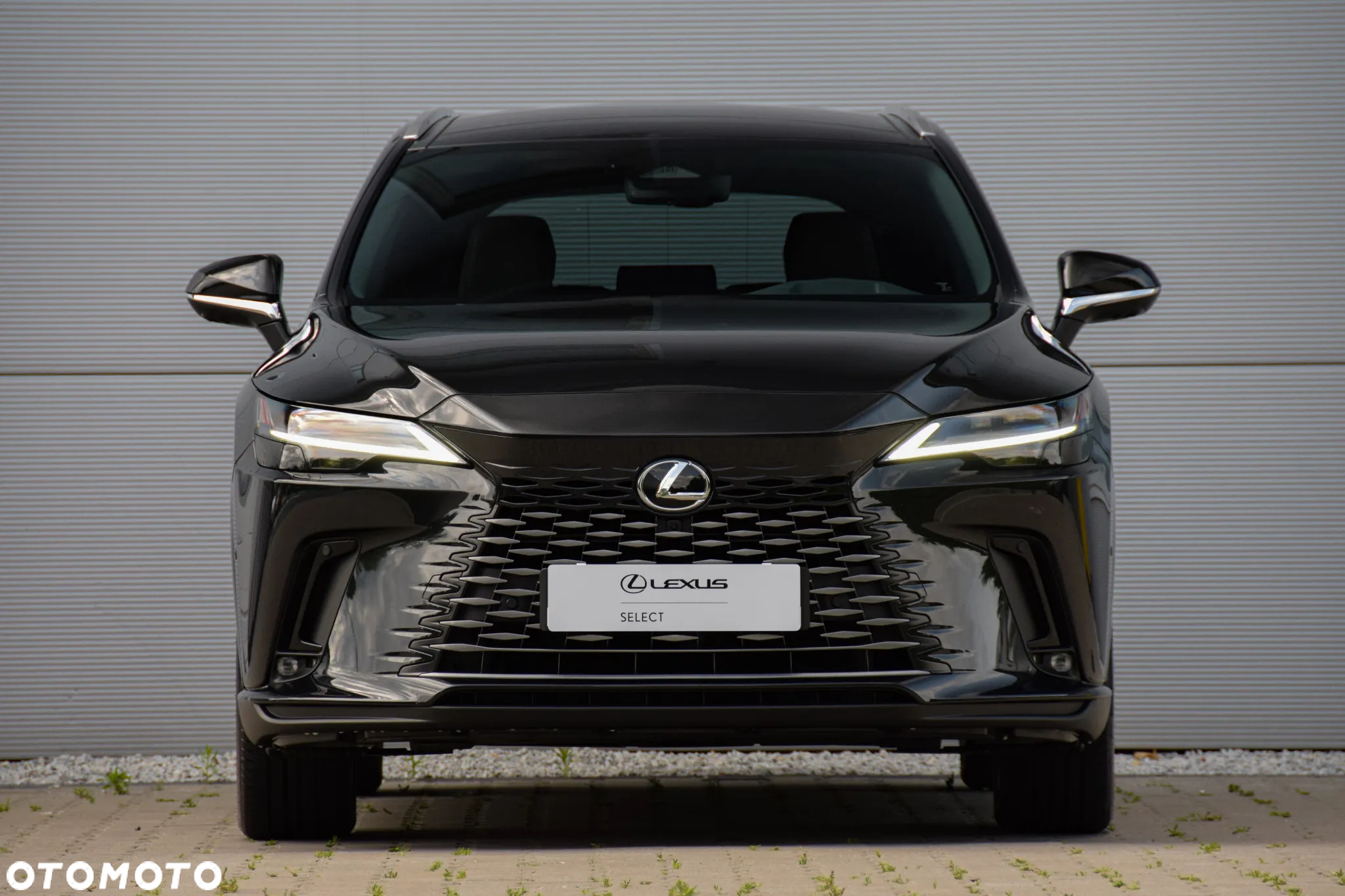 Lexus RX 450h+ Omotenashi - 17