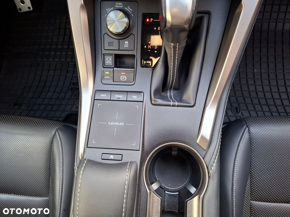 Lexus NX 300 GPF F Sport Edition AWD - 33