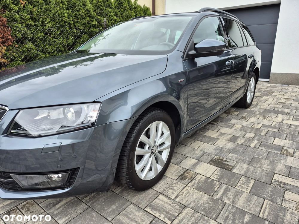 Skoda Octavia 1.4 TSI Joy - 15