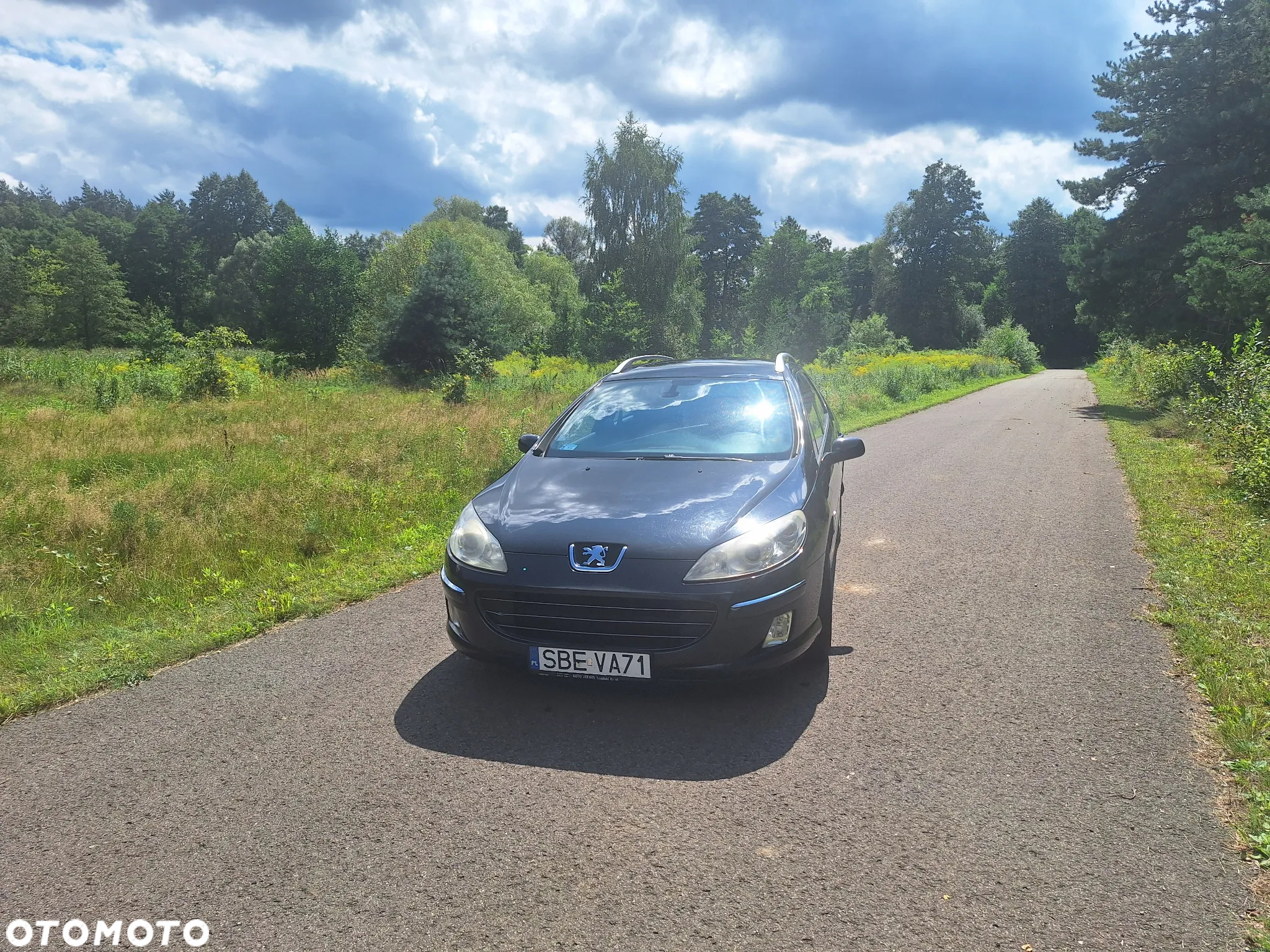 Peugeot 407 1.6 HDI Premium - 6